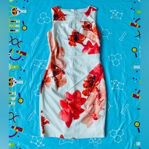 Fit and flattering  sleeveless boat neck Calvin Klein dress, size 8